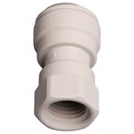 Pentair Parts B4640Z 1 / 4 in. FPT x Quick Tube Fitting, PVC