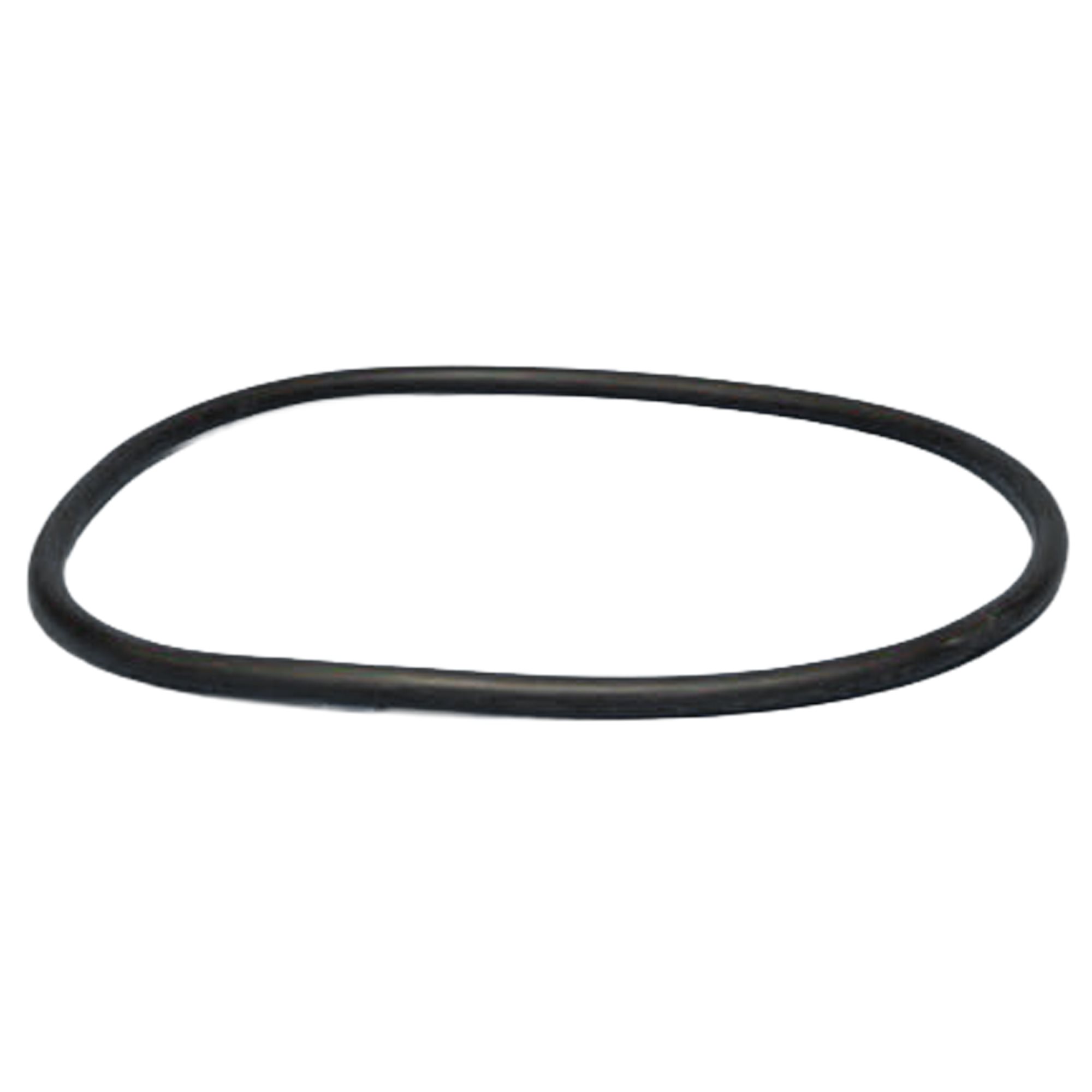 Pentair Parts B4951Z O-Ring, Manway