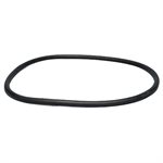 Pentair Parts B4951Z O-Ring, Manway
