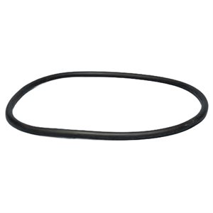 Pentair Parts B4951Z O-Ring, Manway