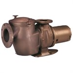 Pentair C Series Bronze Self-Priming Pump, CHK-100, 10 HP, 3 Phase