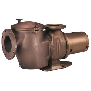 Pentair C Series Bronze Self-Priming Pump, CHK-100, 10 HP, 3 Phase