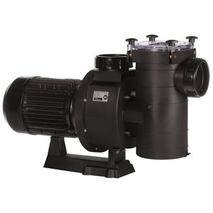 Hayward HCP 4000 Series Commercial Thermoplastic Pump, 10 HP