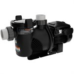 AuaStar Pipeline Variable Speed Pump, 1.5 HP