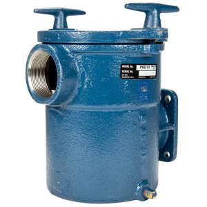 Pentair PKG 51 Cast Iron Trap with Basket, 6 in.