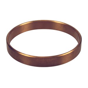 Pentair Parts 16830-0120 Wear Ring