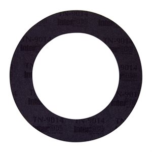 Pentair Parts 33450-8041 Gasket, 6" Pipe Flange
