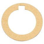 Pentair Parts C20-101 Gasket