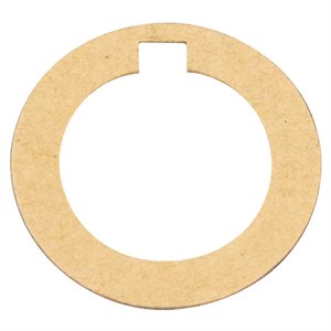 Pentair Parts C20-101 Gasket