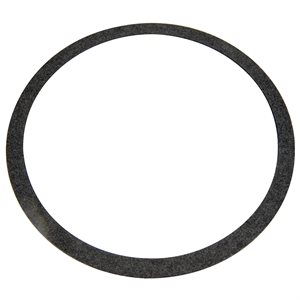 Pentair Parts C20-121 Gasket