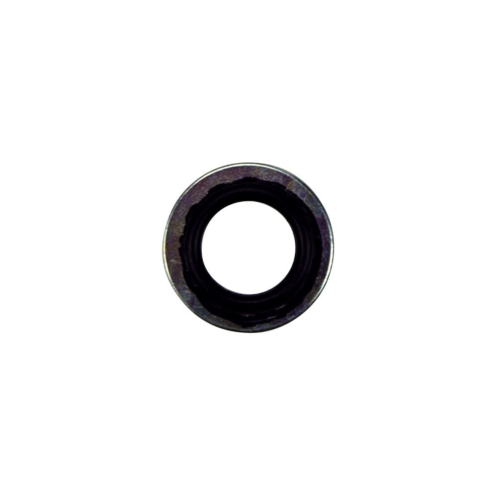 Pentair Parts C43-46SS Stat-O-Seal Washer