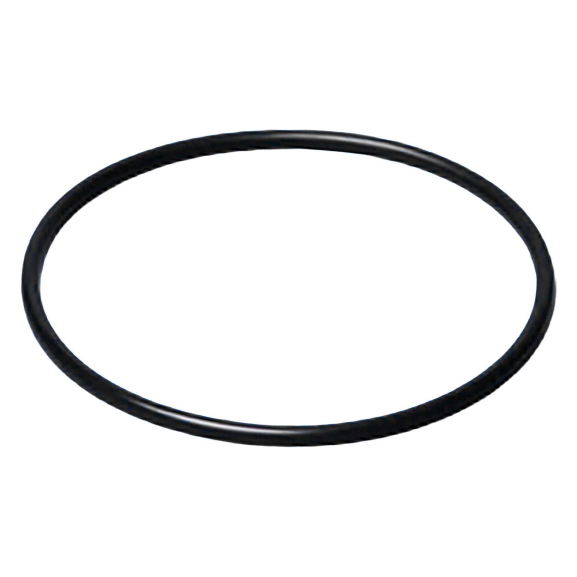 Speck 2921141210 Lid O-Ring