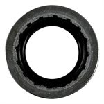 Pentair Parts C43-46SSA Stat-O-Seal