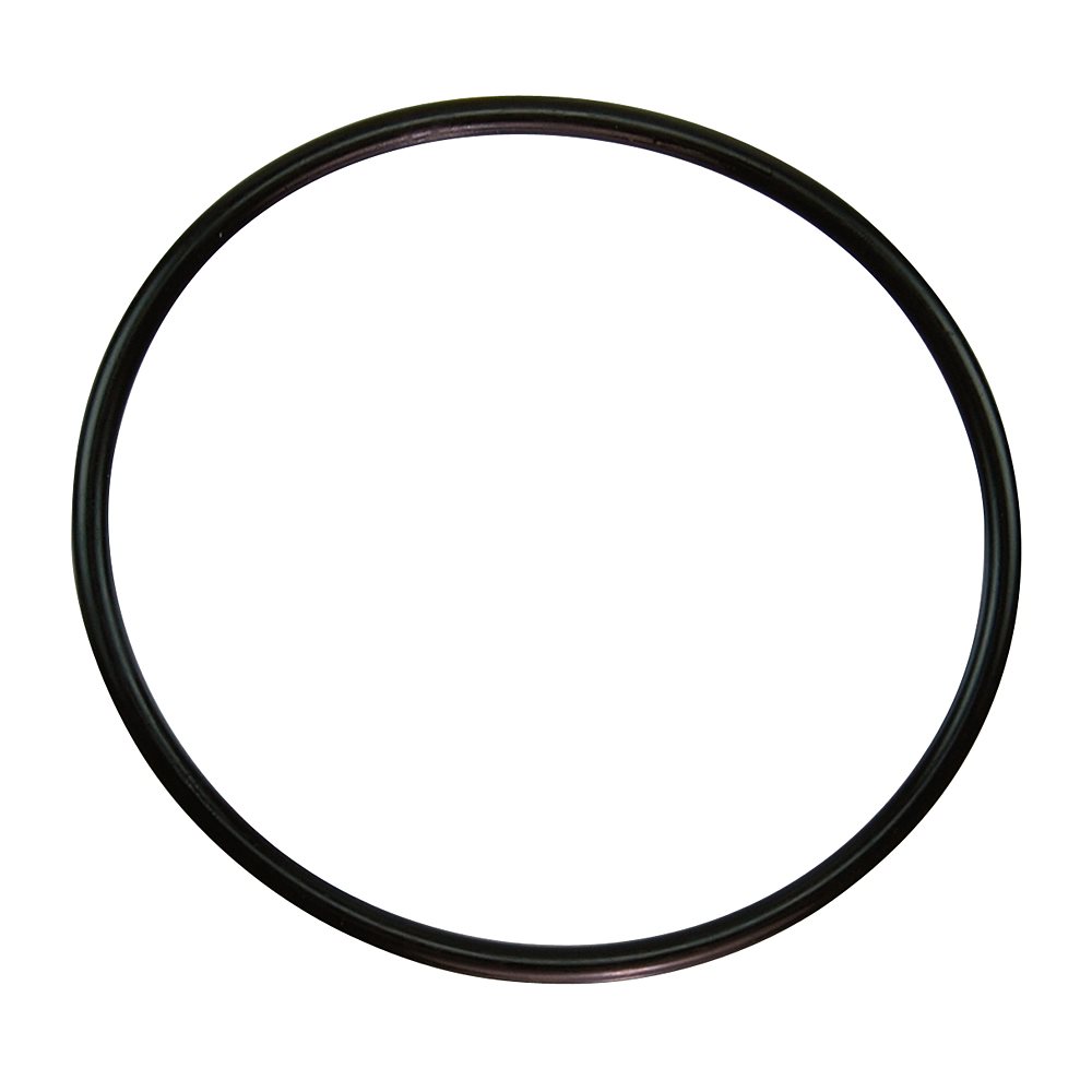 Pentair Parts 350013Z O-ring