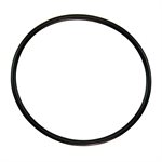 Pentair Parts 350013Z O-ring