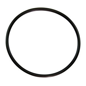 Pentair Parts 350013Z O-ring