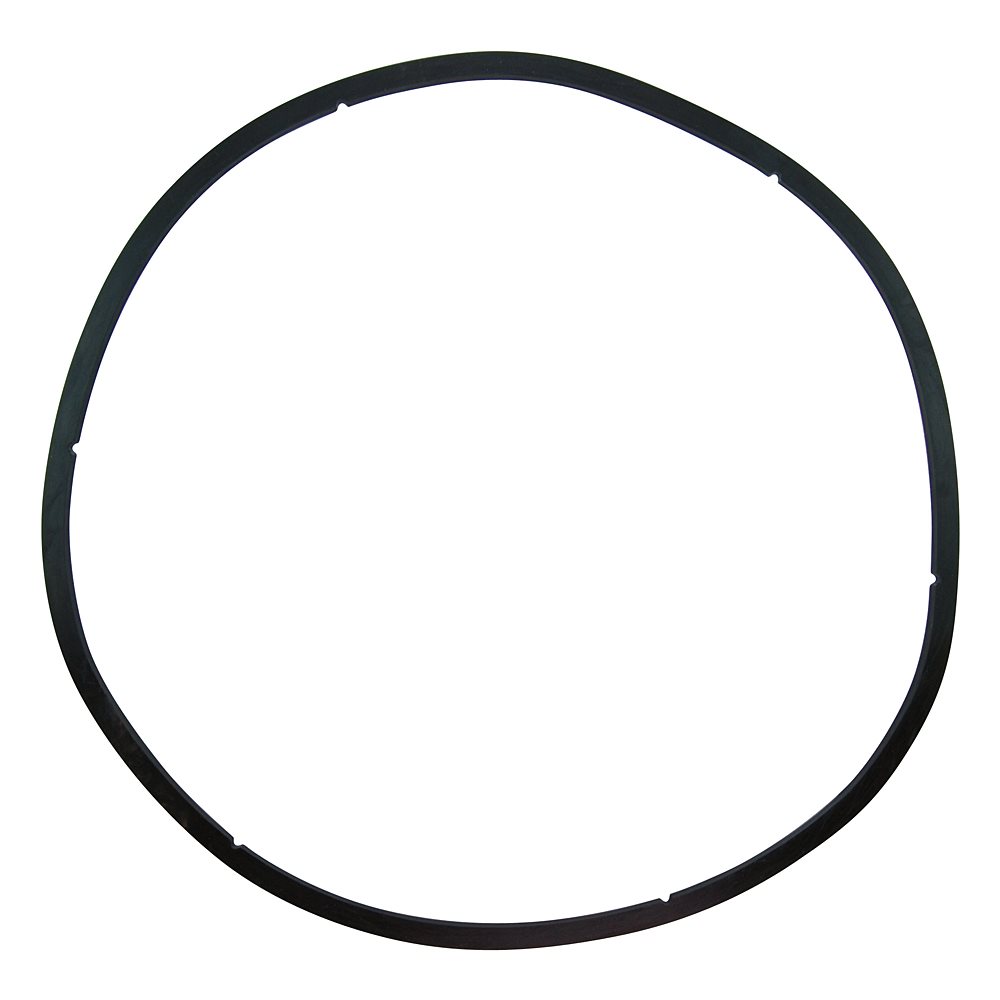 Pentair Parts, 350166 EQ Strainer Lid Gasket