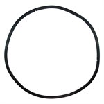 Pentair Parts, 350166 EQ Strainer Lid Gasket