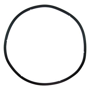 Pentair Parts, 350166 EQ Strainer Lid Gasket