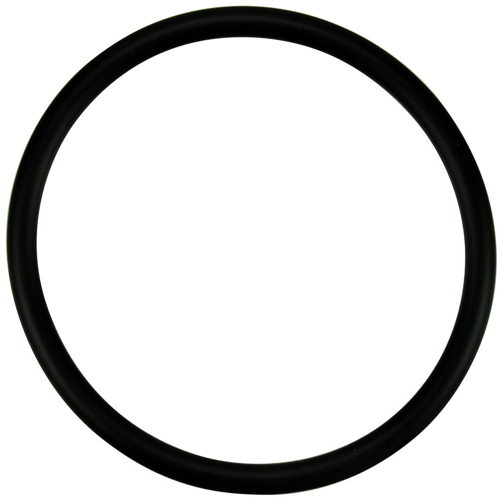 Pentair Parts 350336 Diffuser O-Ring