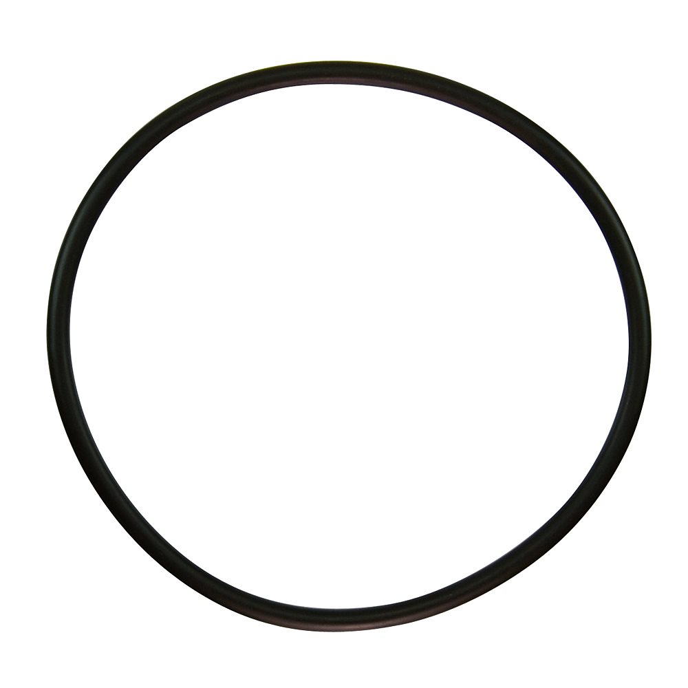 Pentair Parts 35505-1440 O-Ring