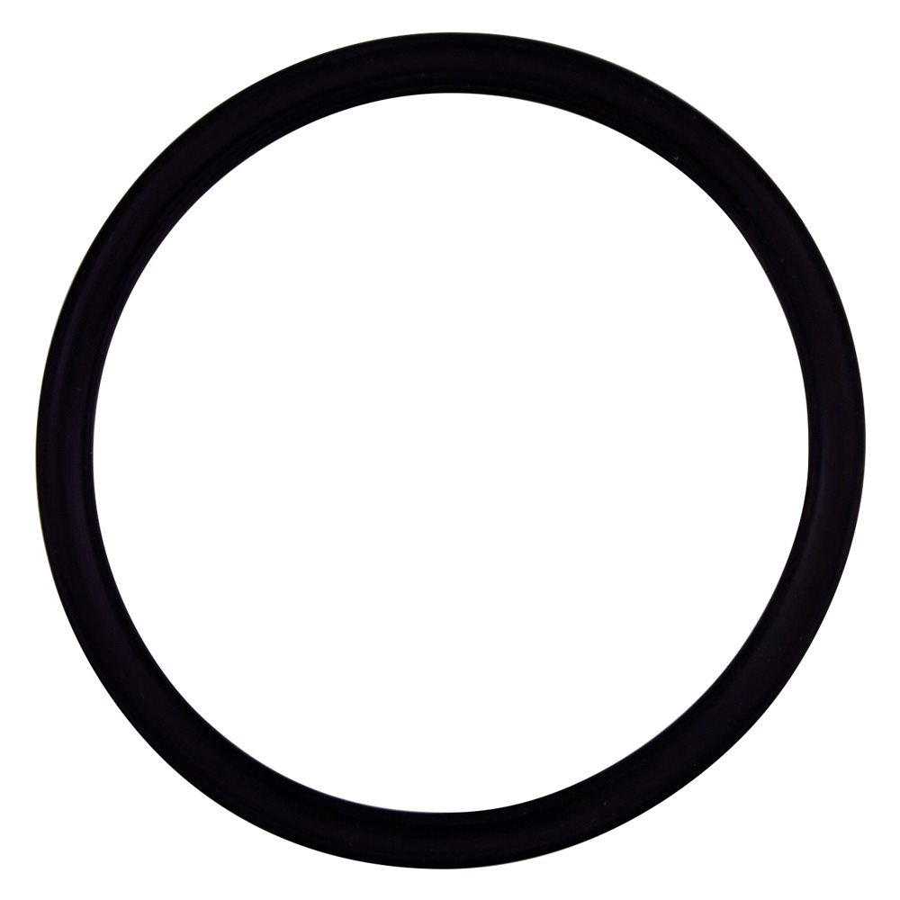 Pentair Parts 355030 O-Ring - Diffuser
