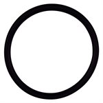 Pentair Parts 355030 O-Ring - Diffuser