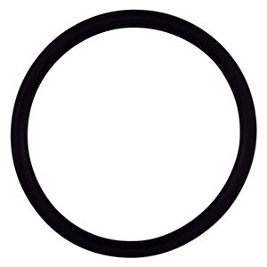 Pentair Parts 355030 O-Ring - Diffuser