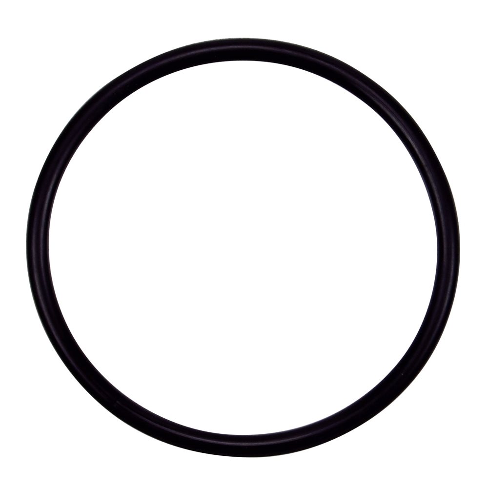 Pentair Parts 355330 O-Ring, Strainer Pot Flange