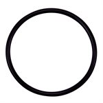 Pentair Parts 355330 O-Ring, Strainer Pot Flange