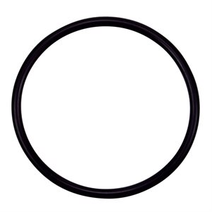 Pentair Parts 355330 O-Ring, Strainer Pot Flange