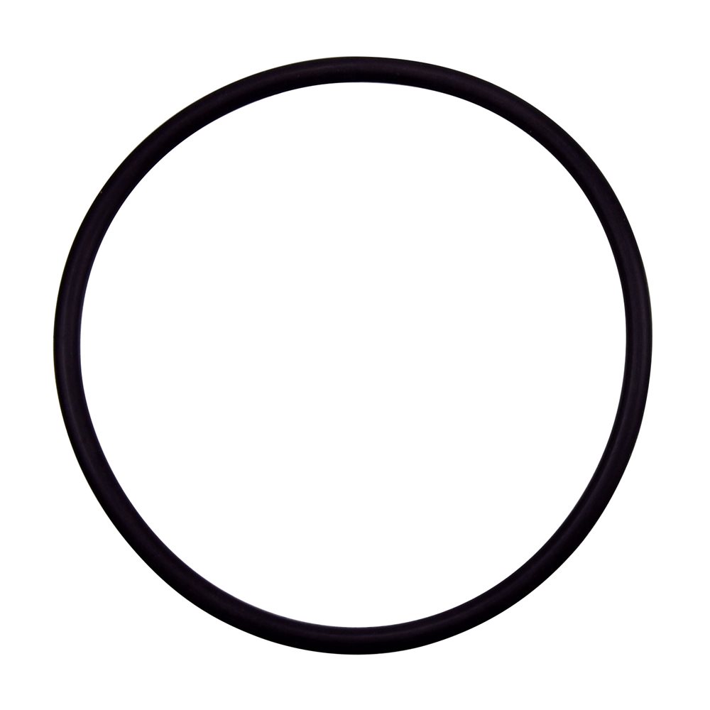 Pentair Parts 355331 O-Ring for Diffuser