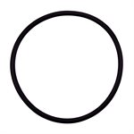 Pentair Parts 355331 O-Ring for Diffuser