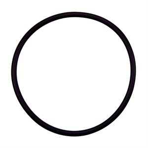 Pentair Parts 355331 O-Ring for Diffuser