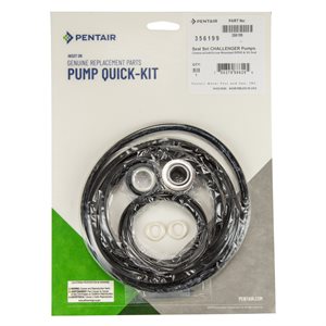 Pentair Parts 356199 Seal Set for Challenger