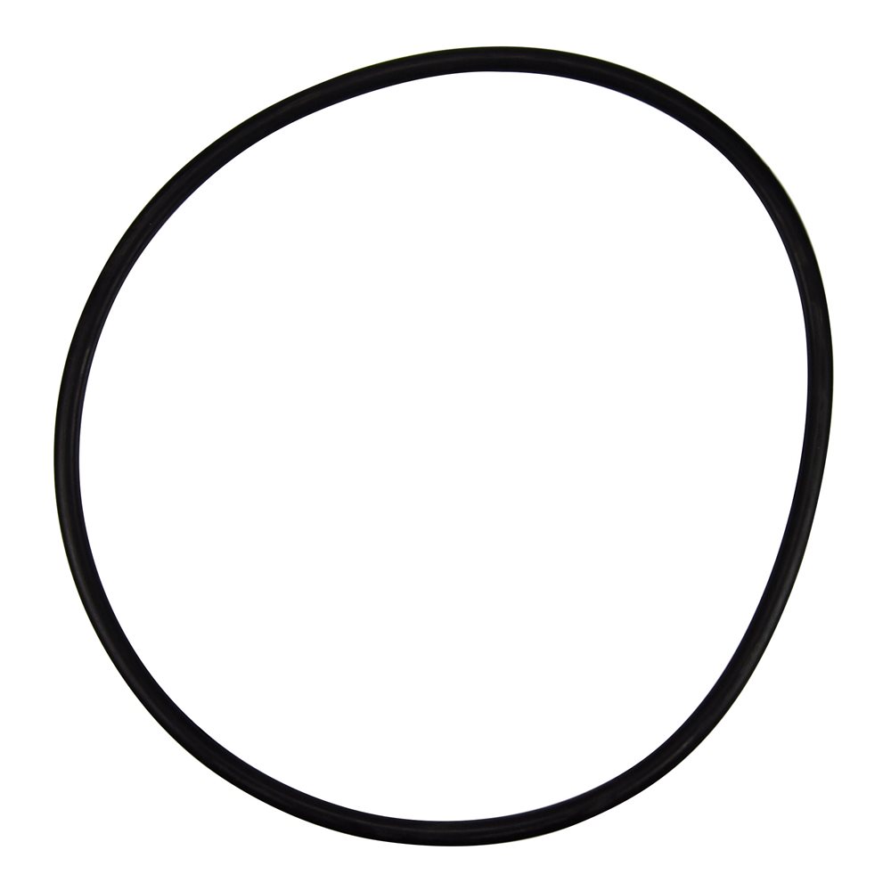 Pentair Parts 356780 O-ring (Seal Plate)