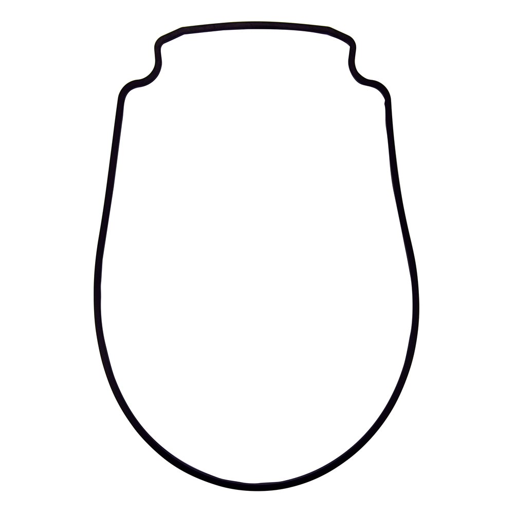 Pentair Parts 357100 Black Gasket for Seal Plate
