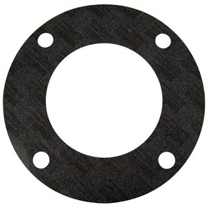 Pentair Parts 070943 Flange Gasket, 5 inch