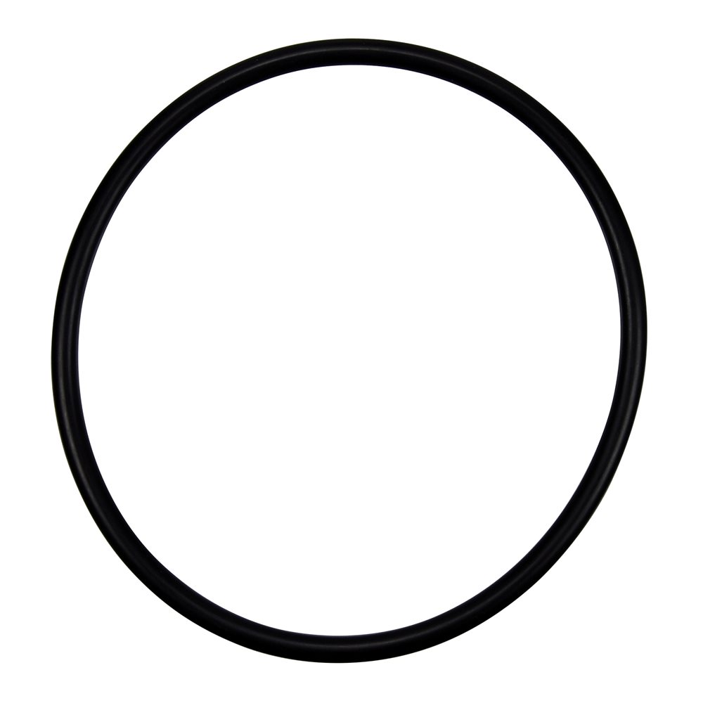 Pentair Parts 071423 O-ring, REPACKAGED