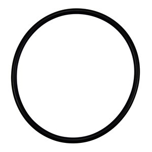 Pentair Parts 071423 O-ring, REPACKAGED