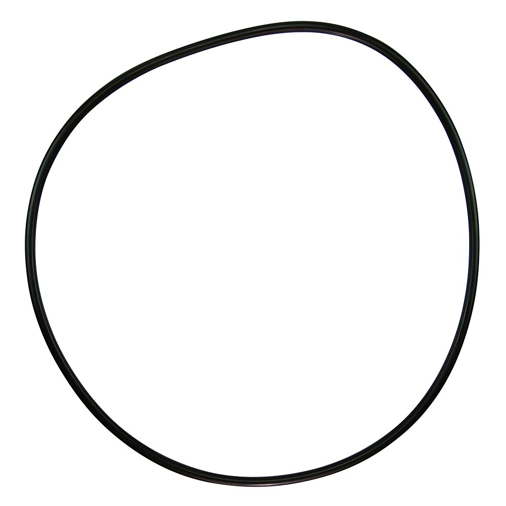 Pentair Parts 071433 O-ring, REPACKAGED