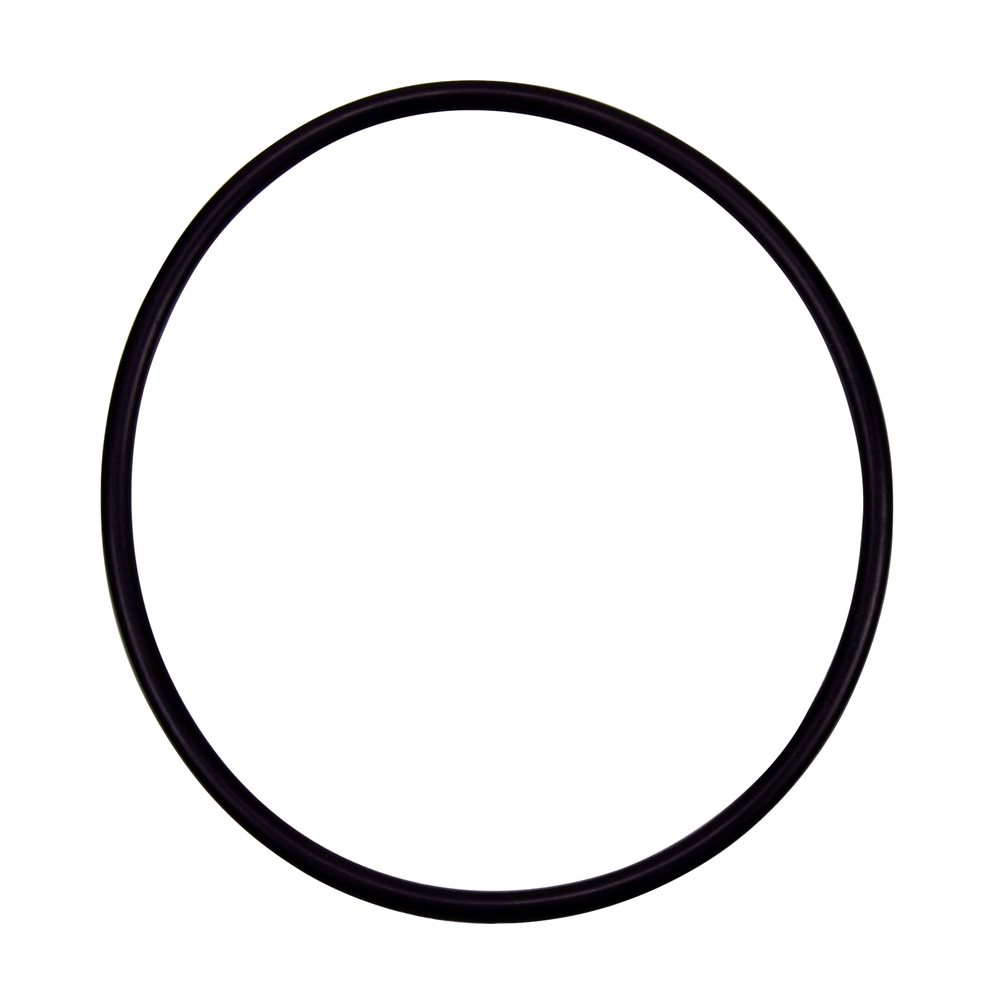 Pentair Parts 355227Z O-Ring