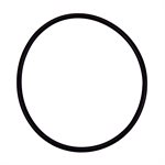 Pentair Parts 355227Z O-Ring