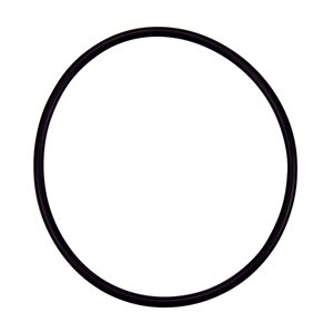 Pentair Parts 355227Z O-Ring
