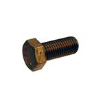 Pentair Parts 071683 Screw 3 / 4-10 x 1.75 hh. brs. P-12