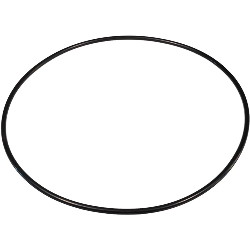Fluidtrol Strainer Lid O-Ring, 8"