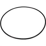 Fluidtrol Strainer Lid O-Ring, 8"