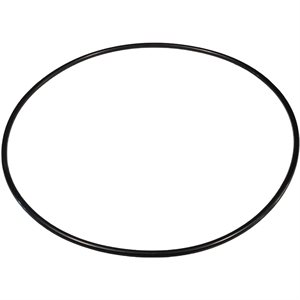 Fluidtrol Strainer Lid O-Ring, 10"