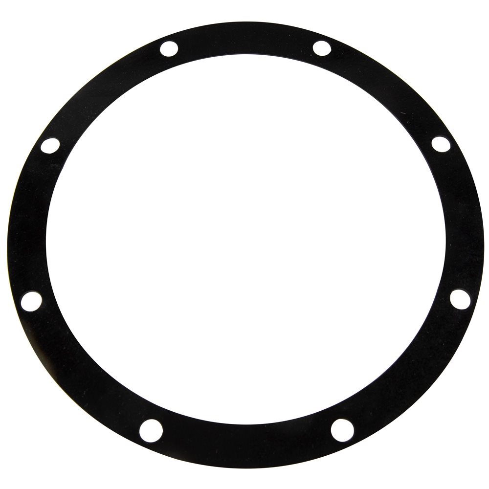 Pentair Parts C20-46 Gasket, Adapter