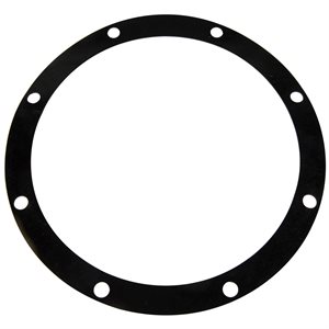 Pentair Parts C20-46 Gasket, Adapter